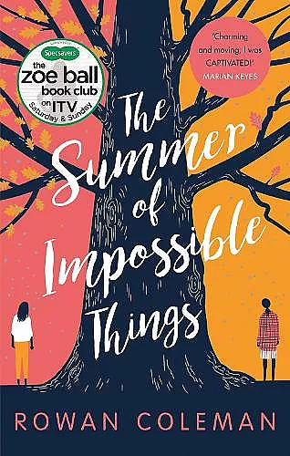 The Summer of Impossible Things cover