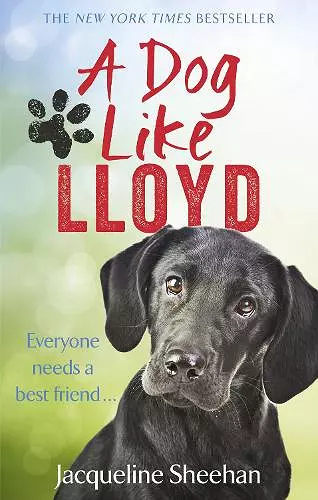 A Dog Like Lloyd cover