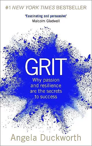 Grit cover