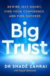 Big Trust cover