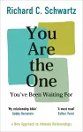 You Are the One You’ve Been Waiting For cover