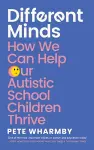 Different Minds cover