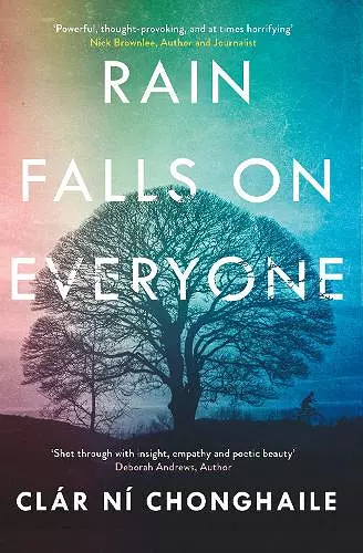 Rain Falls on Everyone cover