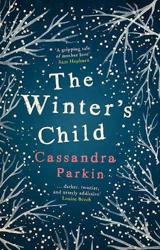 The Winter's Child cover