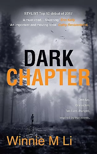 Dark Chapter cover