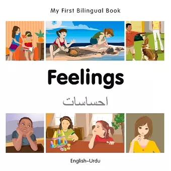 My First Bilingual Book - Feelings (English-Urdu) cover