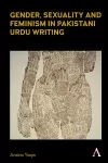 Gender, Sexuality and Feminism in Pakistani Urdu Writing cover