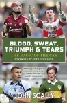 Blood, Sweat, Triumph & Tears cover