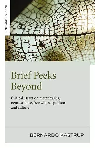 Brief Peeks Beyond cover