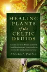 Healing Plants of the Celtic Druids cover