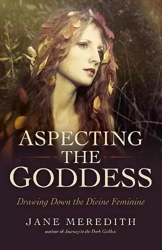 Aspecting the Goddess cover