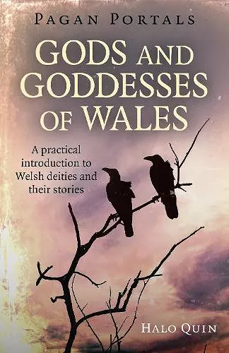 Pagan Portals - Gods and Goddesses of Wales cover