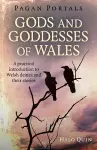 Pagan Portals - Gods and Goddesses of Wales cover