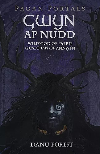 Pagan Portals - Gwyn ap Nudd - Wild god of Faery, Guardian of Annwfn cover