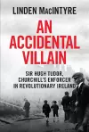 An Accidental Villain cover