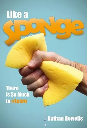 Like a Sponge cover