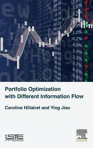 Portfolio Optimization with Different Information Flow cover