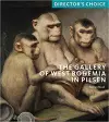 The Gallery of West Bohemia in Pilsen cover