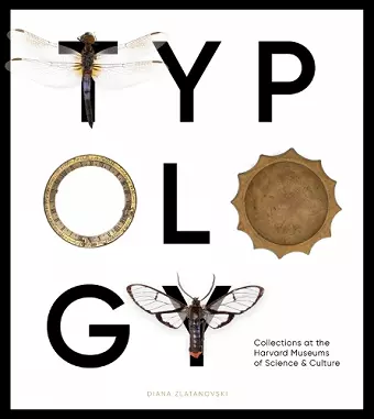 Typology cover