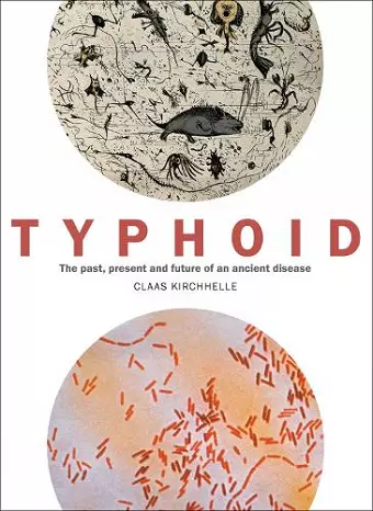 Typhoid cover