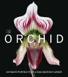 The Orchid cover