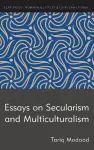 Essays on Secularism and Multiculturalism cover