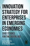 Innovation Strategy for Enterprises in Emerging Economies cover