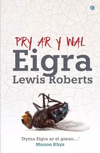 Pry ar y Wal cover