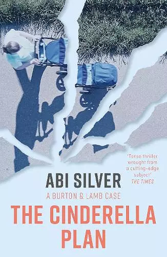 The Cinderella Plan cover