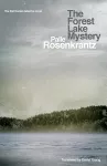 The Forest Lake Mystery cover