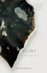 Flint cover