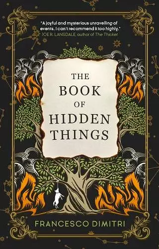 The Book of Hidden Things cover