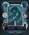 Guillermo del Toro's The Shape of Water: Creating a Fairy Tale for Troubled Times cover