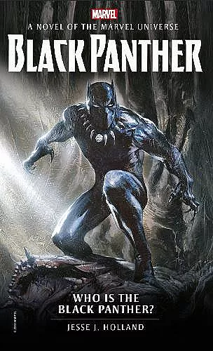 Who is the Black Panther? cover