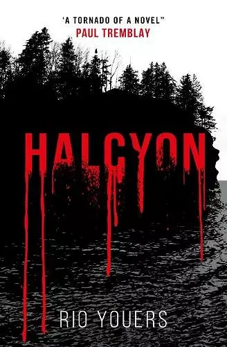 Halcyon cover