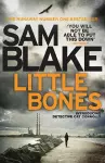 Little Bones cover