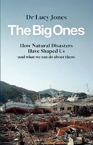 The Big Ones cover