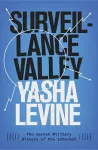 Surveillance Valley cover