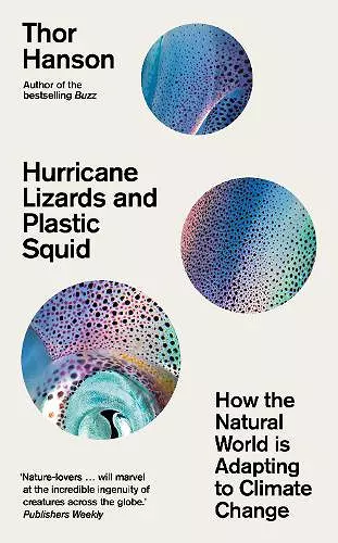 Hurricane Lizards and Plastic Squid cover