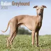 Italian Greyhound Calendar 2020 cover