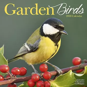 Garden Birds Calendar 2020 cover