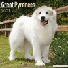 Great Pyrenees 2021 Wall Calendar cover