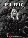 Michael Moorcock's Elric Vol. 4: The Dreaming City cover