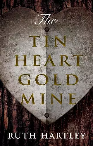 The Tin Heart Gold Mine cover