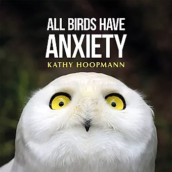 All Birds Have Anxiety cover