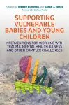 Supporting Vulnerable Babies and Young Children cover