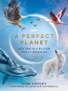 A Perfect Planet cover