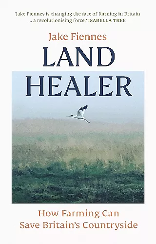Land Healer cover