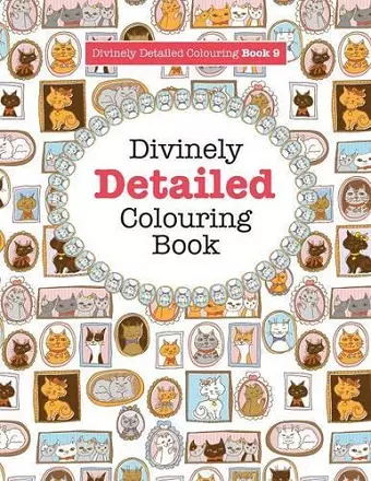 Divinely Detailed Colouring Book 9 cover