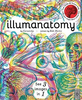 Illumanatomy cover